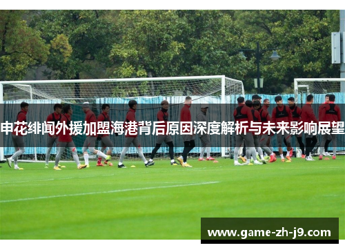申花绯闻外援加盟海港背后原因深度解析与未来影响展望