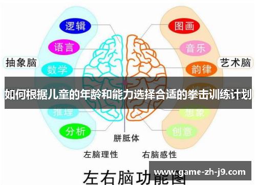 如何根据儿童的年龄和能力选择合适的拳击训练计划