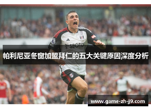 帕利尼亚冬窗加盟拜仁的五大关键原因深度分析 帕利尼亚冬窗加盟拜仁的五大关键原因深度分析