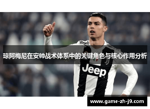 琼阿梅尼在安帅战术体系中的关键角色与核心作用分析