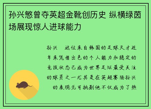 孙兴慜曾夺英超金靴创历史 纵横绿茵场展现惊人进球能力 孙兴慜曾夺英超金靴创历史 纵横绿茵场展现惊人进球能力